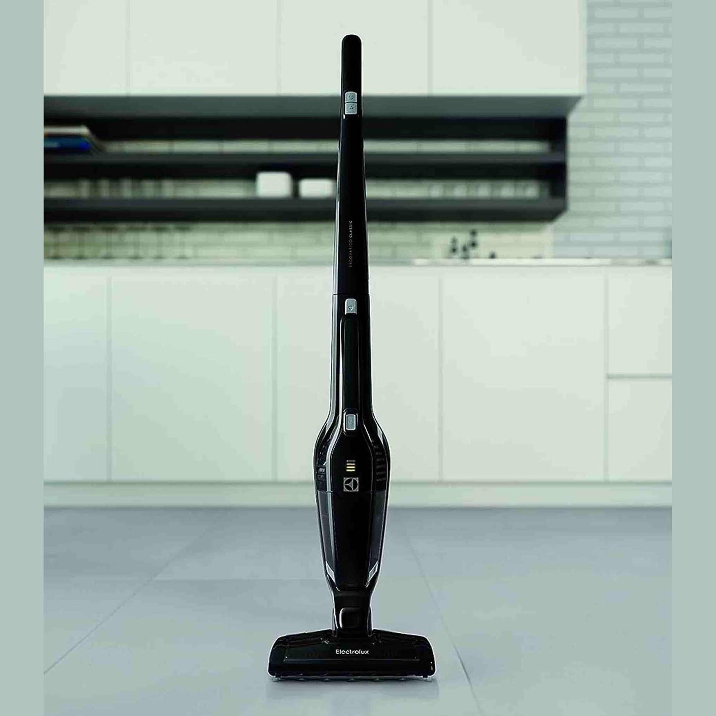 Electrolux Ergorapido 2 In 1 Cordeless Vacuum Cleaner