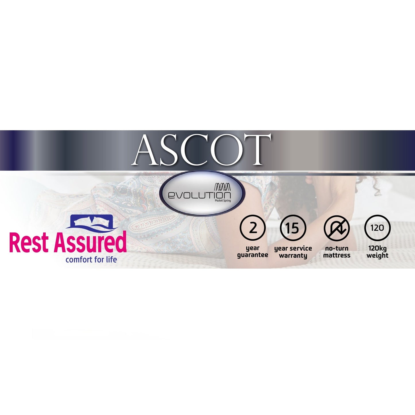 Rest Assured Ascot King Mattress & MJ Base