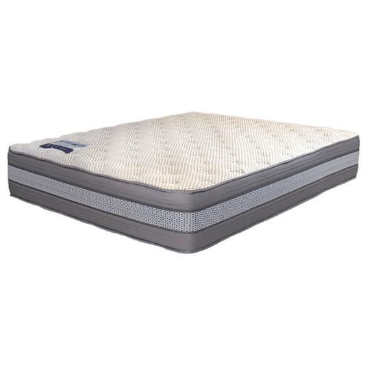Rest Assured Arctic Plush Mattress