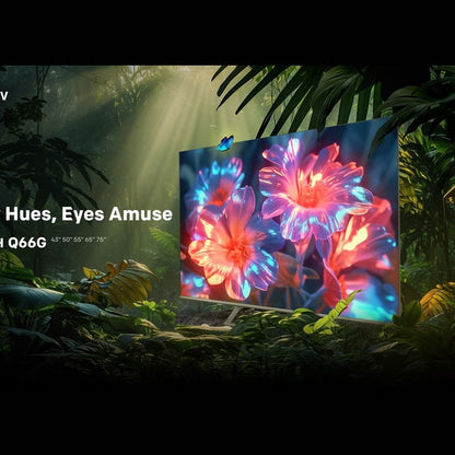 Skyworth 65" Q6620G 4K QLED Google Smart Tv with Google Assistant