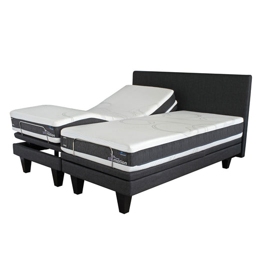 Cloud Nine SloMotion King Mattress & MJ Base